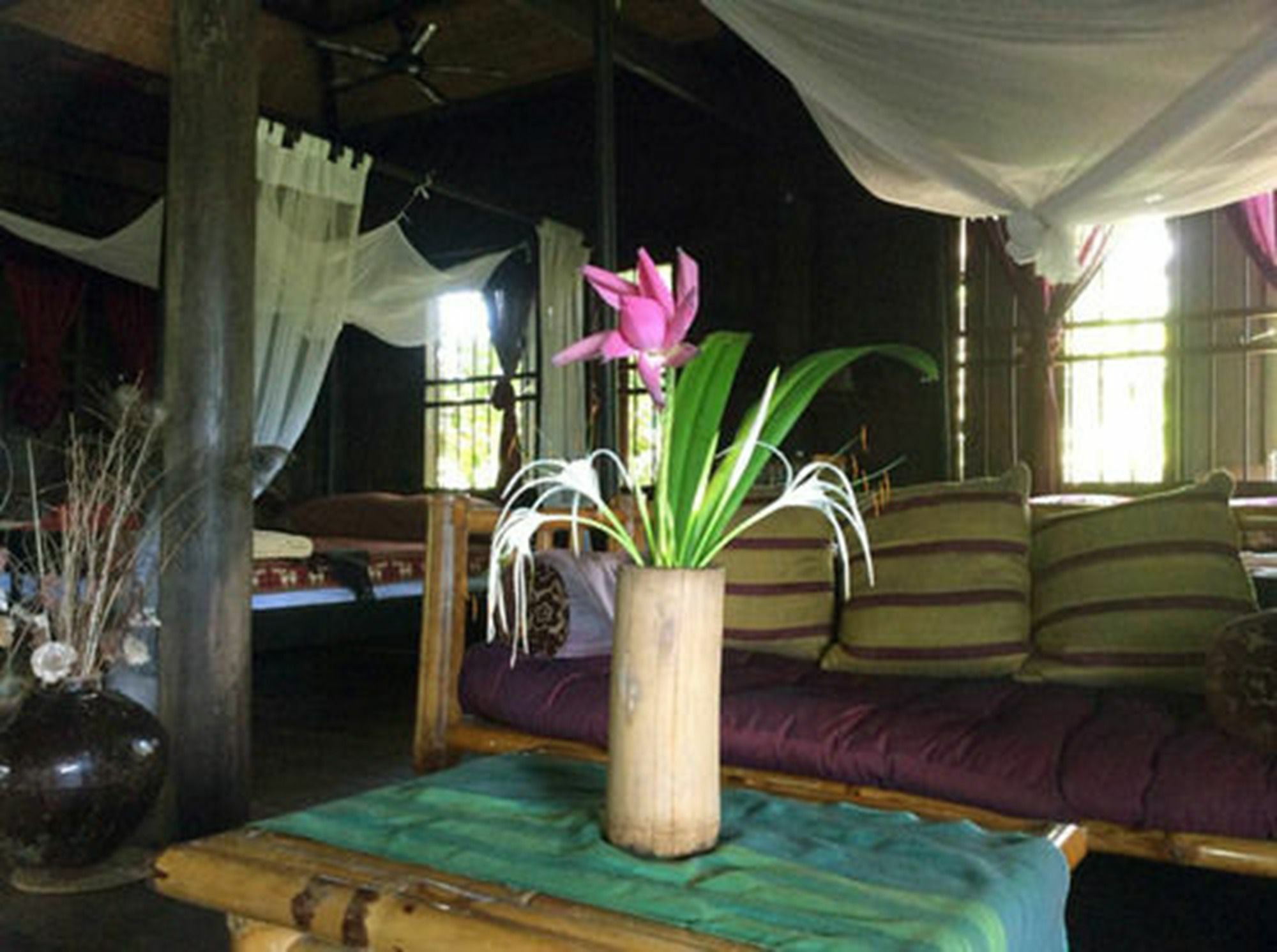 The Bong Thom Homestay Siem Reap Bagian luar foto