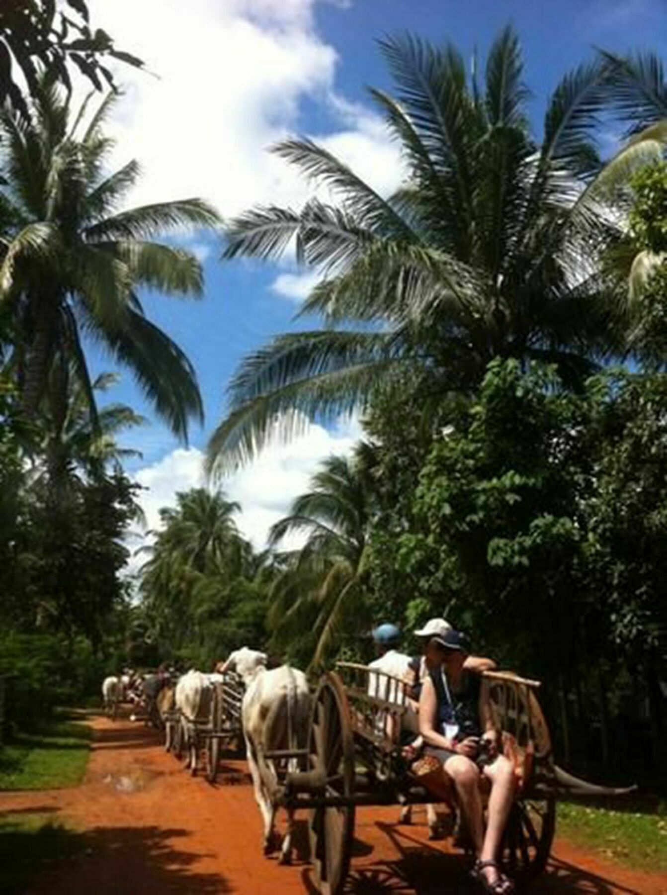 The Bong Thom Homestay Siem Reap Bagian luar foto